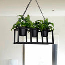 GobekUsa Black Metal Industrial Rectangle Island Light Fixture - 2/3/5 Bulbs LED Lamp with Plant Decor