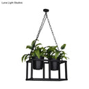 GobekUsa Black Metal Industrial Rectangle Island Light Fixture - 2/3/5 Bulbs LED Lamp with Plant Decor