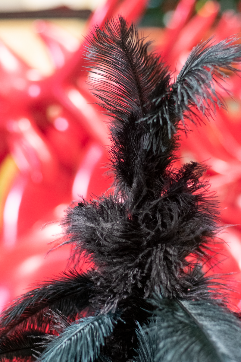 Black Ostrich Feather Tree