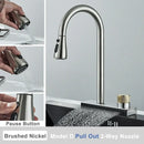 GobekUsa Black Rainwater Kitchen Faucet Flexible Pull Out 3 Way Nozzle Mixer Tap