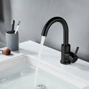 GobekUsa Black Stainless Steel Bathroom Faucet - Single Handle