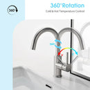 GobekUsa Black Stainless Steel Bathroom Faucet - Single Handle