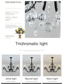 GobekUsa Black Wrought Iron Crystal Chandelier for Living & Dining Room - Elegance meets Style