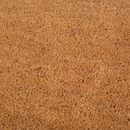 Black Border Coir Doormat