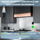 Akicon 36" Stainless Steel Wall Mount Range Hood with 600 CFM Vent Hood - AK-HS36HD-JB