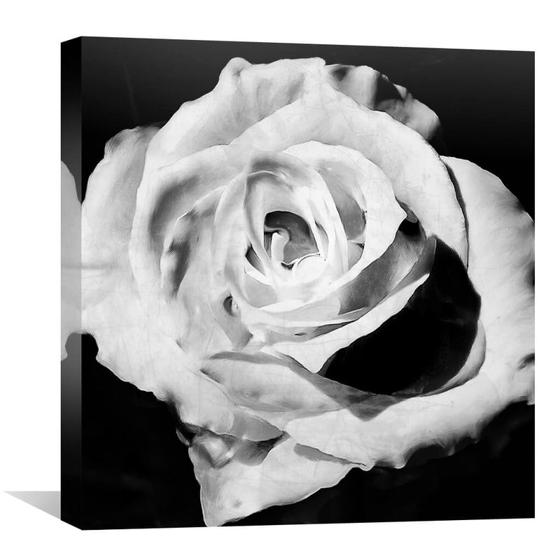 Blanc Bloom Canvas