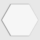 Blanc Matte Hexagon Ceramic Tiles 8 1/4