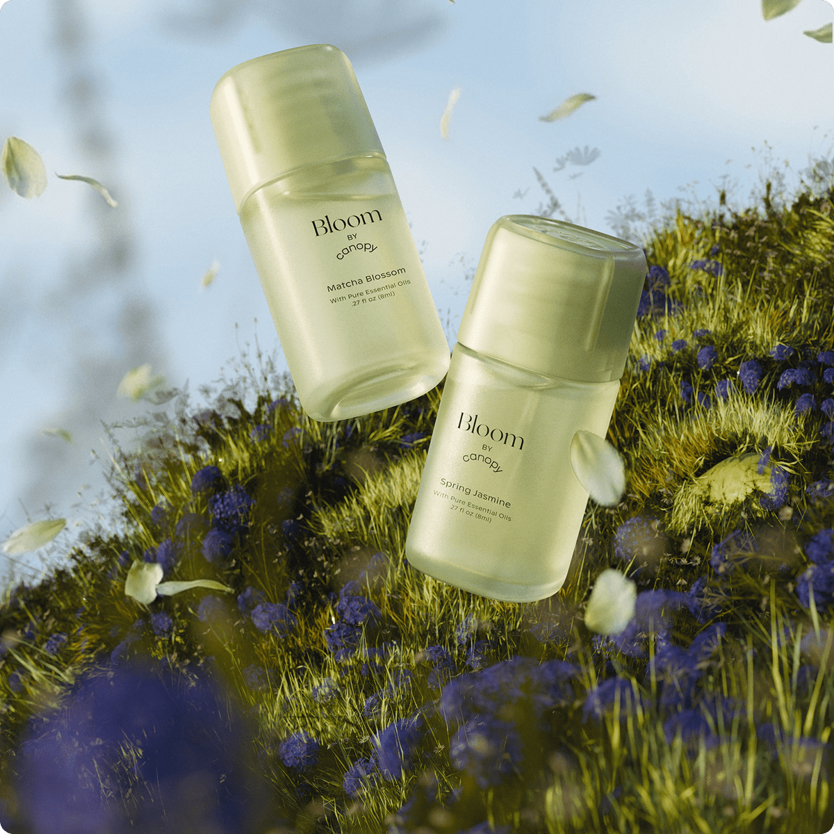 Bloom Aroma Kit, photo 7 of 7
