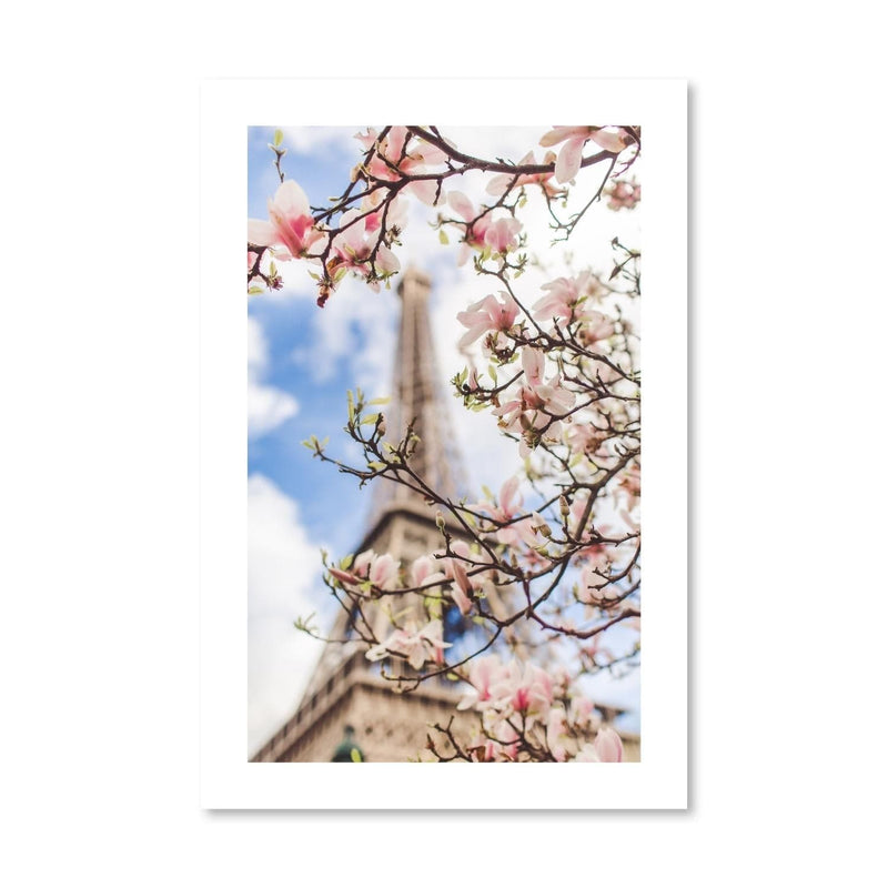 Blossom Paris Print