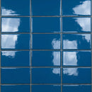 Blu Glossy Ceramic Tiles 4x8