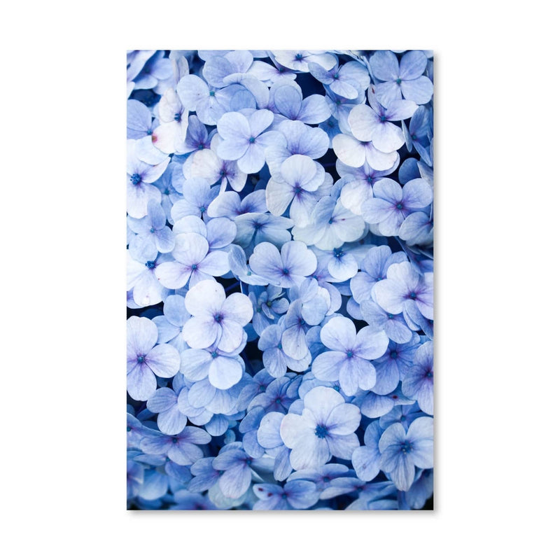 Blue Flowers Canvas