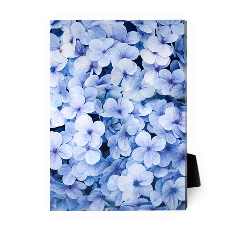 Blue Flowers Desktop Canvas