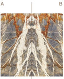 Blue Tempest Maxifine