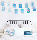 Blue collection