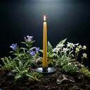 Hand-Dipped Beeswax Taper Candles - Bulk 4-Pair Bundle by Bluecorn Candles