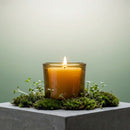 Heavy Glass Votive Candle Holders - 50% Recycled Glass by Bluecorn Candles