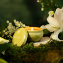 Scented Candle Tins - Aromática - 8oz by Bluecorn Candles