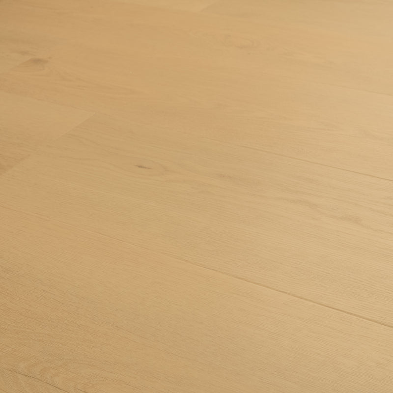 MSI Wayne Parc Reserve™Bluffview™Luxury Vinyl Planks, detail