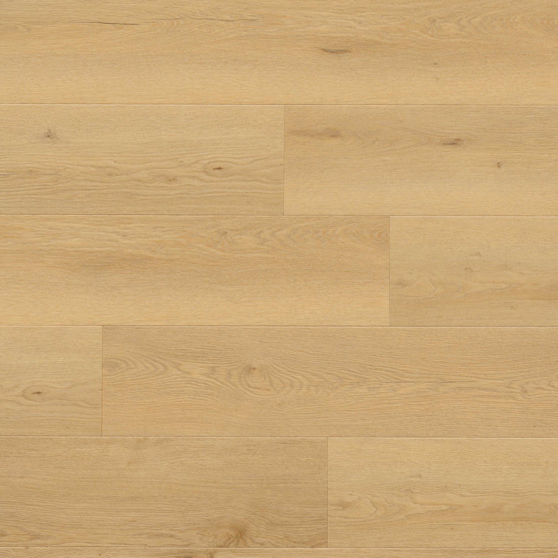 MSI Wayne Parc Reserve™Bluffview™Luxury Vinyl Planks