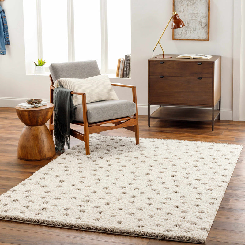 Chaia Dotted Cream & Gray Plush Rug