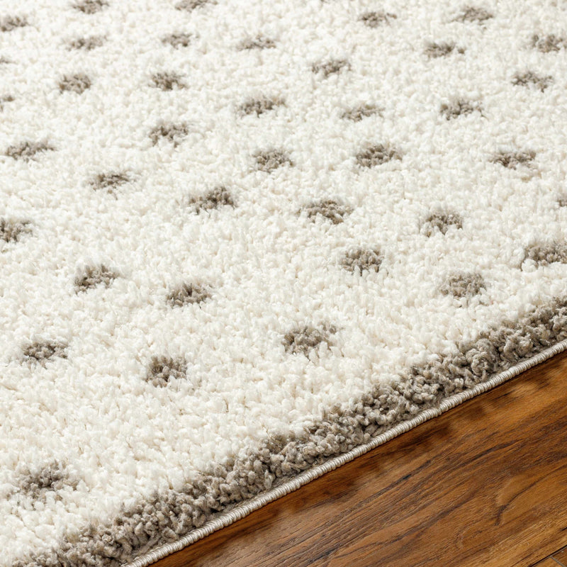 Chaia Dotted Cream & Gray Plush Rug