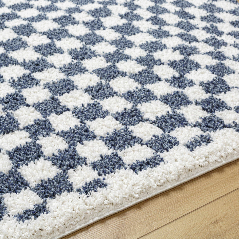 Kieu Blue & White Checkered Area Rug