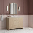 James Martin Gracyn 48" Single Bathroom Vanity, Coastal Driftwood