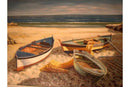 Boats In Beech