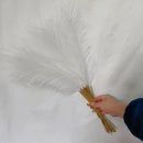 Boho white & beige fluffy pampas grass – living room decor by Decorbites