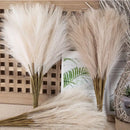 Boho white & beige fluffy pampas grass – living room decor by Decorbites