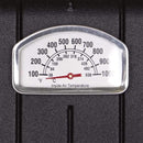 Broilmaster P3X Super Premium Cast Aluminum Gas Grill With Flare Busters, Griddle And Smoker Shutter (SAK98194)