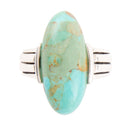 Bold Green Turquoise and Sterling Silver Ring