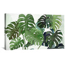 Botanical Abode Canvas