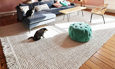 Boutique Rugs Campaing Discount