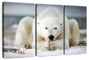 Yoga Polar Bear Wall Art