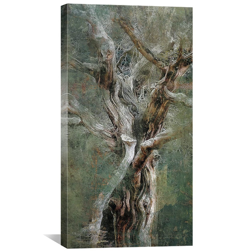 Branched Expansion Canvas