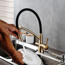 GobekUsa Dual Spout Dual Handles Kitchen Faucet with Hot and Cold Mixer for Pure Water