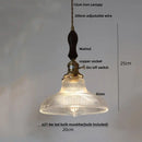 GobekUsa Clear Glass LED Pendant Lights for Home Decor and Lighting