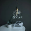 GobekUsa Clear Glass LED Pendant Lights for Home Decor and Lighting