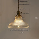 GobekUsa Clear Glass LED Pendant Lights for Home Decor and Lighting