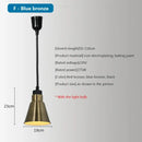 GobekUsa Electric 275W Food Heat Preservation Pendant Light for Kitchen & Restaurant