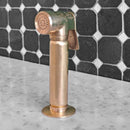 Kitchen Unlacquered Brass Hand Sprayer