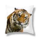 Brave tiger pattern print cushion covers nine pack living room decor by Decorbites