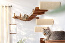 Corner Cat Shelf Bridge