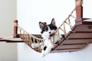 Double Cat Hammock and Climbing Bridge Combo