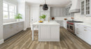 MSI Brookings Forrester Luxury Vinyl Planks