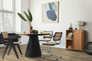 MSI Brookings Forrester Luxury Vinyl Planks