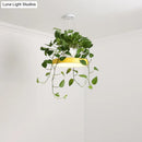 GobekUsa Brooklyn - Round Macaron Round Hanging Light Acrylic LED Pendant Lighting Fixture in Black/Grey/White with Top Plant Pot