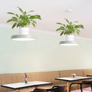 GobekUsa Brooklyn - Round Macaron Round Hanging Light Acrylic LED Pendant Lighting Fixture in Black/Grey/White with Top Plant Pot