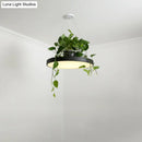GobekUsa Brooklyn - Round Macaron Round Hanging Light Acrylic LED Pendant Lighting Fixture in Black/Grey/White with Top Plant Pot